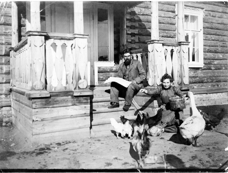 Кормление гусей и кур, 1900-е