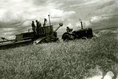 Кубань. Уборка урожая в колхозе, 1937 год, Краснодарский край, станица Новотитаровская