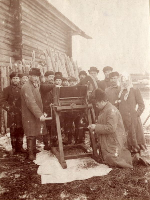 Сельское хозяйство до революции, 1900-е, Новгородская губ., Череповецкий у.