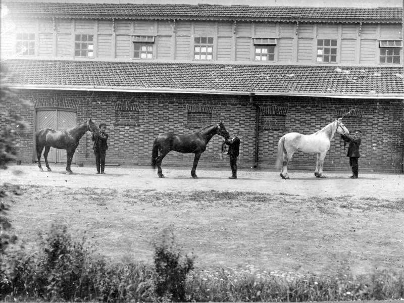 Лошади с конюхами у конюшен, 1890 - 1900