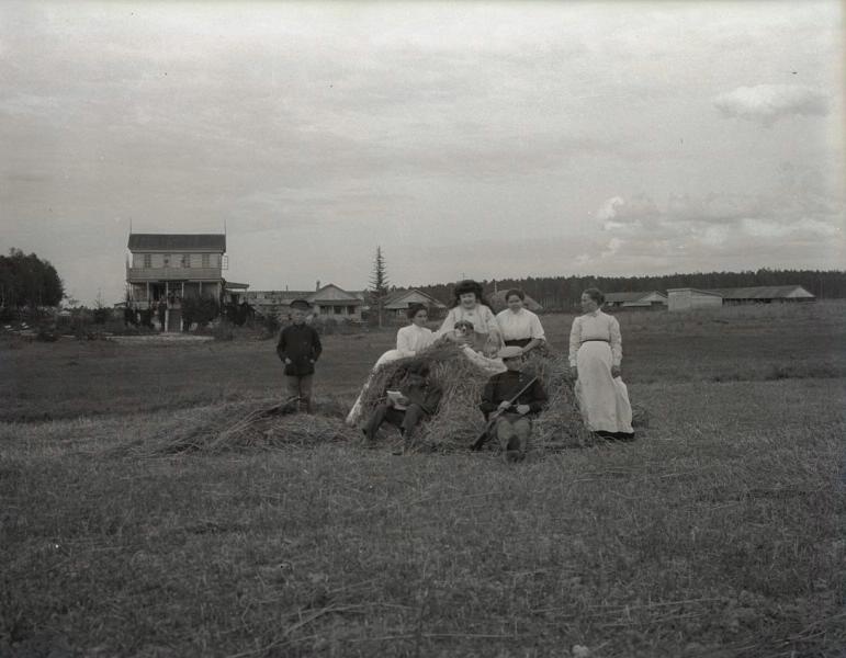 В поле, 1911 год