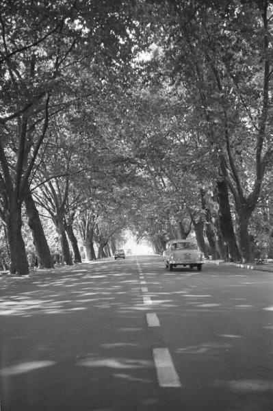 Летнее шоссе, 1958 год, Краснодарский край, г. Сочи