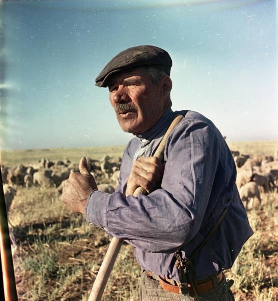 Чабан Стукалов, 1957 год, Ставропольский край, Арзгирский р-н, совхоз «Турксад». Выставка «Пастухи» с этой фотографией.&nbsp;