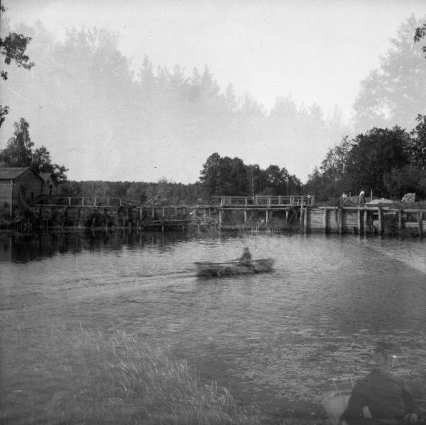 Вид на мостик в Путяевском парке, 1904 год, г. Москва, Сокольники
