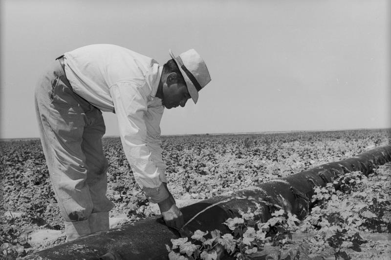 Колхозник на поле, 1955 - 1965. Мужчина-колхозник настраивает поливальную систему.