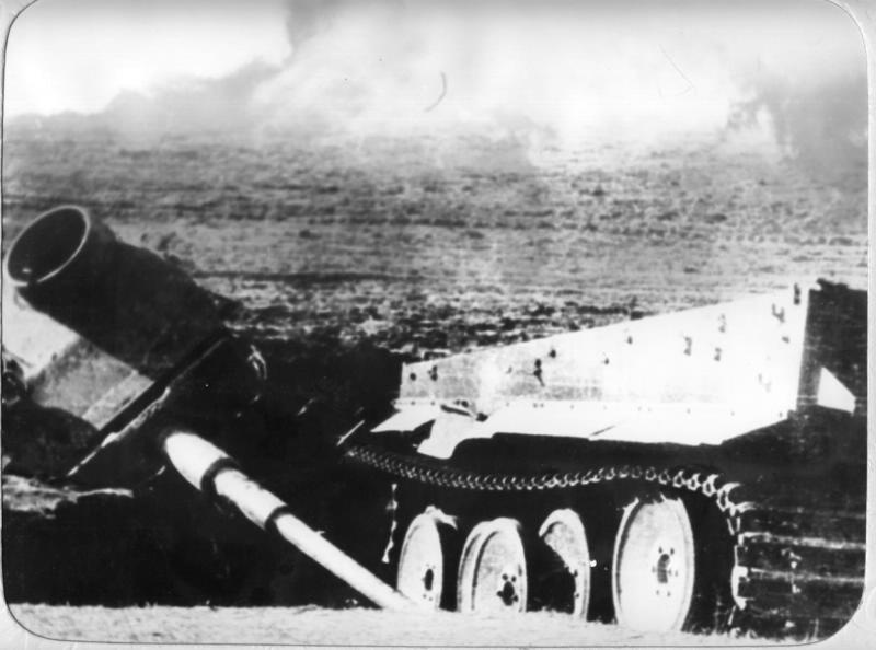 Укрощенный «Тигр», июнь - август 1943