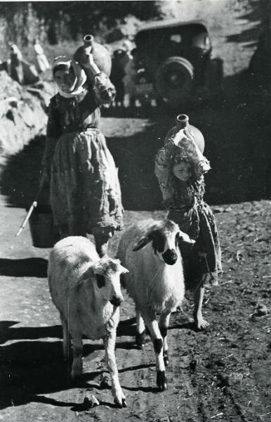 Овцы, 1934 - 1937