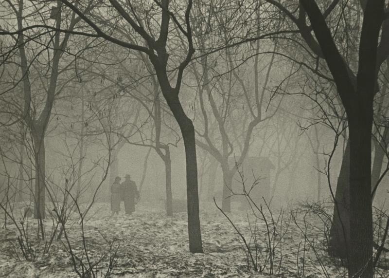 Осенний мотив, 1963 - 1964. Выставки:&nbsp;«Навести тумана»,&nbsp;«Осень целого века» с этой фотографией.