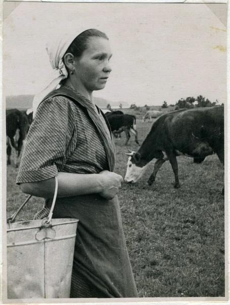 На дойку. Доярка Гридина, 1950 год, Калининская обл., г. Кимры. Ныне Тверская область.