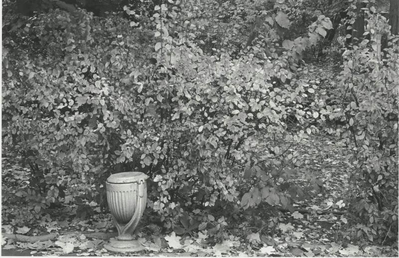 Сад «Эрмитаж», 1990 год, г. Москва