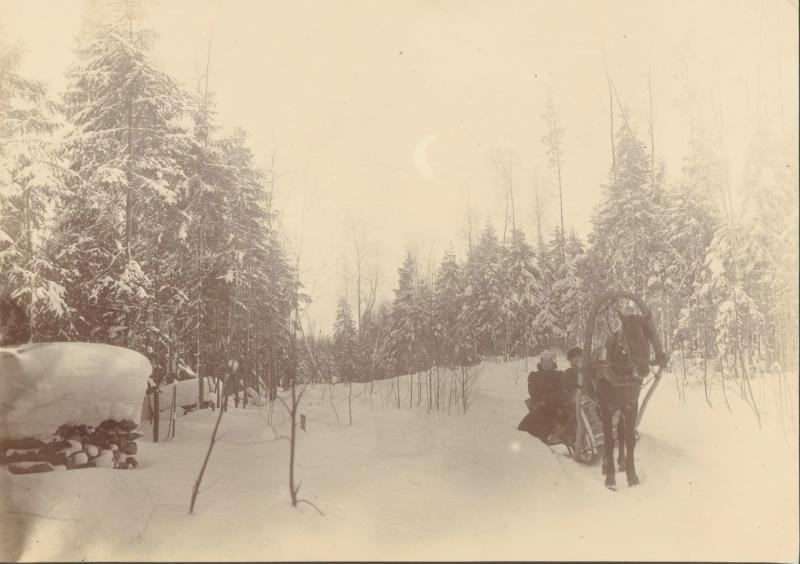 Зимний лес, 1900 - 1910