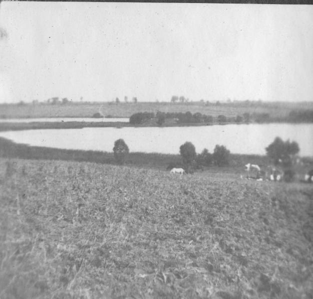 Панорама поля, 1914 - 1918