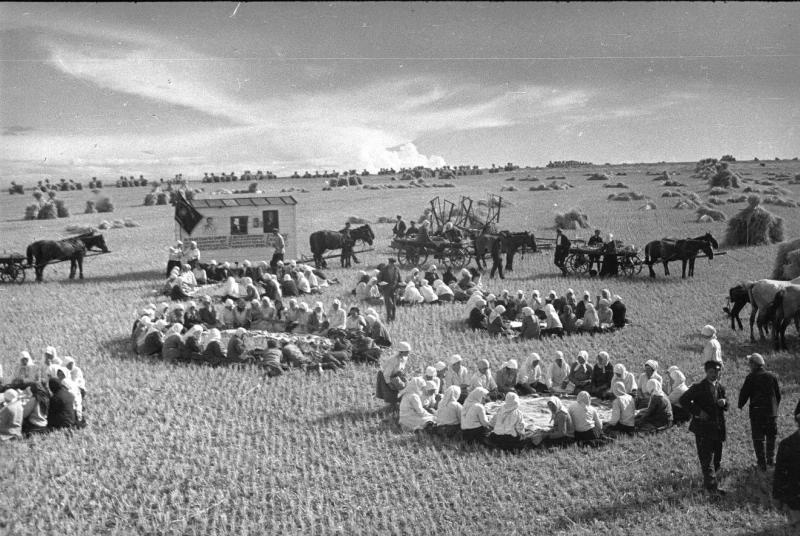 На полевом стане. Обед в поле, 1934 год, Украинская ССР. Видео «Георгий Петрусов» с этой фотографией.