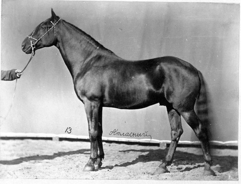 Конь Атласный, 1870-е
