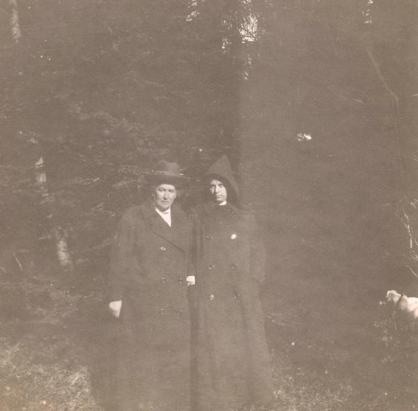 В лесу, 1895 - 1905