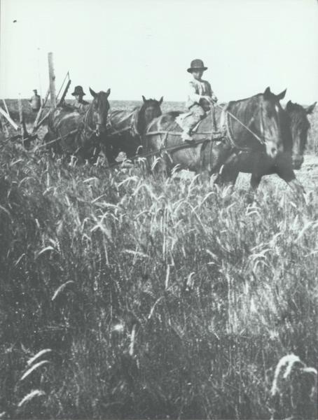 В поле, 1910 год