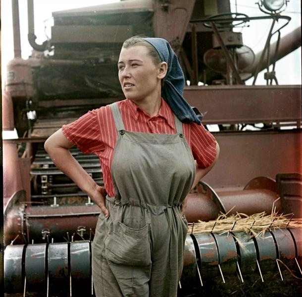 Комбайнер Георгиевской МТС Анна Александровна Шипилова. Два года самостоятельно работает на комбайне, 7 января 1957 - 31 июля 1957. Видео «Сельское хозяйство» с этой фотографией.