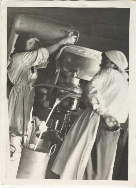 Доярки у сепаратора, 1930-е