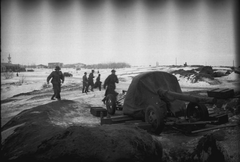 Польская дивизия. Орудие и солдаты в поле, 1941 - 1942, Оренбургская обл.