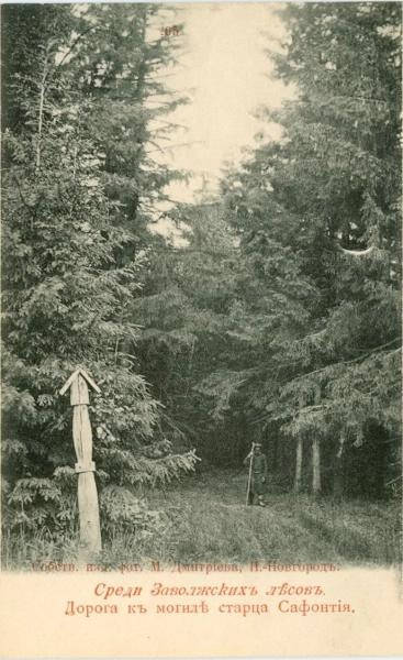 Дорога к могиле старца Сафонтия, 1900-е, Нижегородская губ., с. Деяново. Из серии «Среди Заволжских лесов».