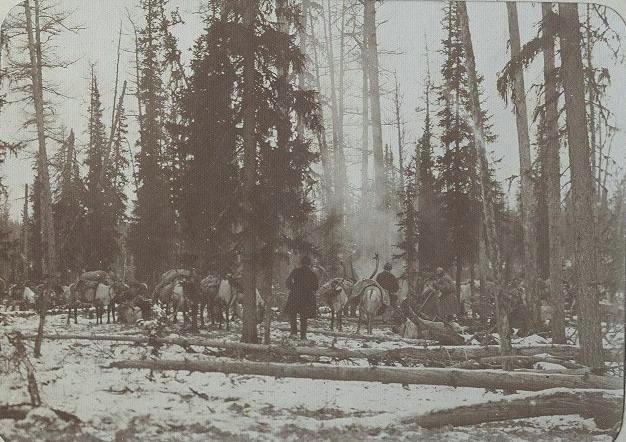 В лесу, 1910-е. Из серии «Этнографическая экспедиция по Северу».