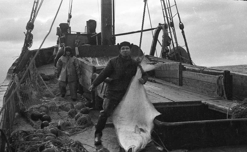 Моряки на борту судна с уловом, 1963 год, Сахалинская обл.. Выставка «"Ловись рыбка большая..." Рыболовный бум в СССР» с этой фотографией.