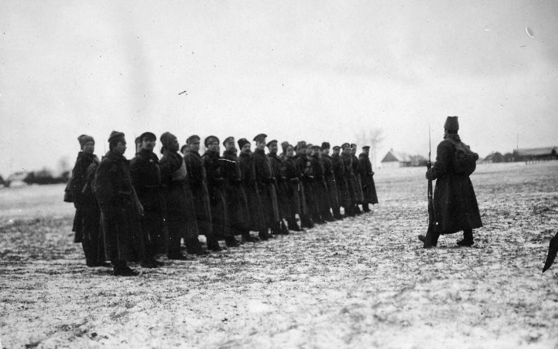 Пополнение прибыло, 1915 год