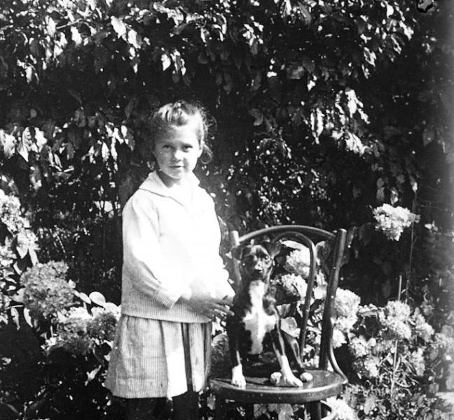 Девочка с собакой, 1890 - 1909. Выставка «Дача, прощай!» с этой фотографией.