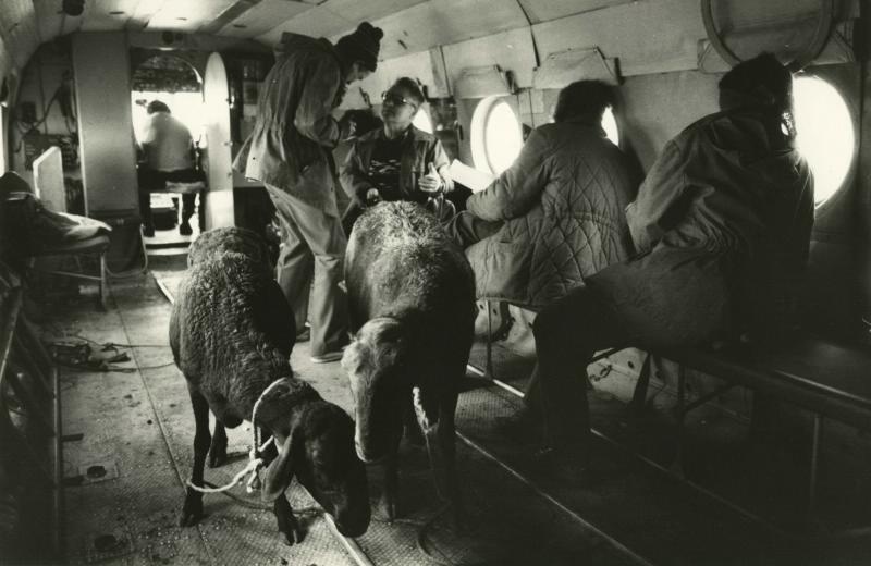 Необычные пассажиры вертолета летят с геологами на высокогорную «точку», 1972 год, Таджикская ССР. Выставка «Приятного полета!» с этой фотографией.