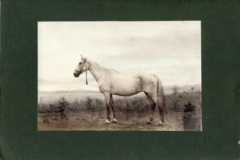 Кобыла Багровая, 1900-е. Соленая бумага.
