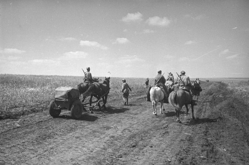 Брянский фронт. Военные, уходящие по дороге, 1941 год