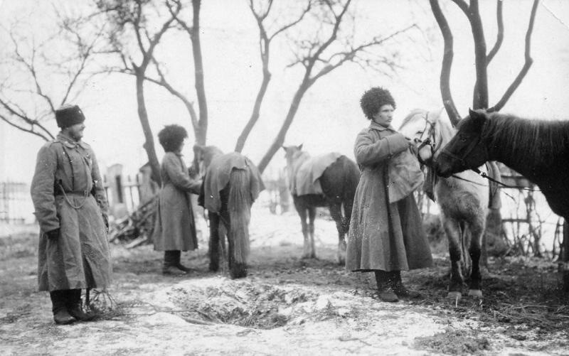Кормление лошадей перед боем, 1915 год