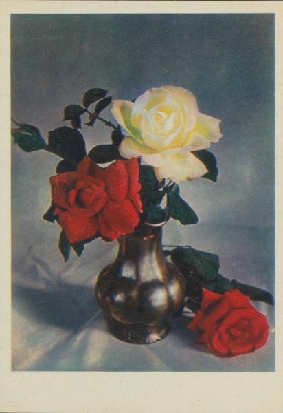 Розы в вазе, 1956 год, г. Москва