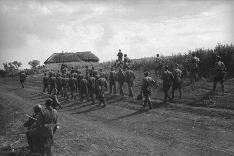 Брянский фронт. Военнопленные, идущие по дороге, 1941 год