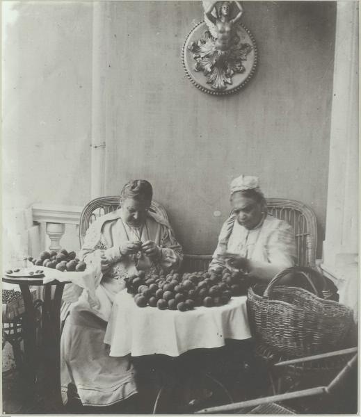 А. Н. Лепешкина с подругой Кольцовой перебирает сливы, 1900-е