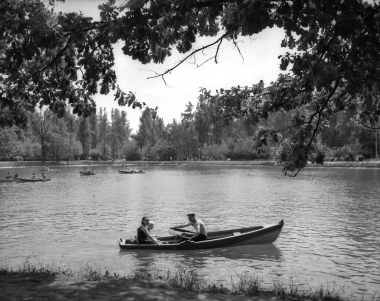 На пруду в Сокольниках, 1950-е, г. Москва