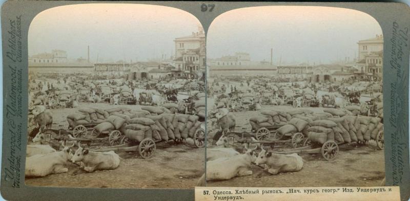 Хлебный рынок, 1900-е, г. Одесса