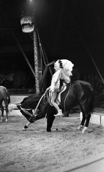 Гастроли шведского цирка в СССР. Дрессированные лошади, 1959 год, г. Москва