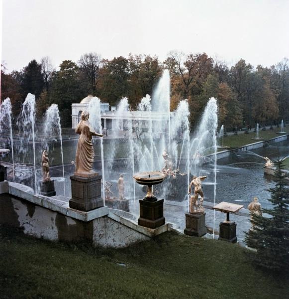 Большой каскад, 1960-е, г. Петродворец. Ныне Петергоф.Выставка «Петергоф: красота побеждает» с этим снимком.&nbsp;