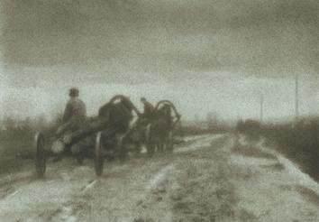 Заготовка леса, 1930 год