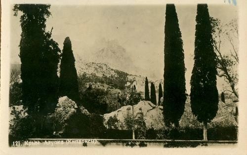 Кипарисы, 1938 год, Крым, г. Алупка