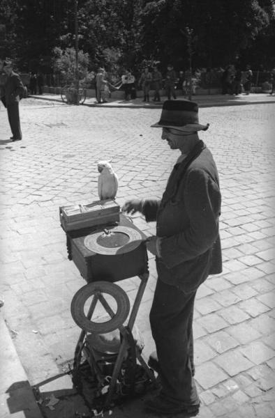 Шарманщик с попугаем на городской улице, 2 августа 1940 - 31 декабря 1940, Украинская ССР, г. Черновицы. С 1944 года название города – Черновцы.