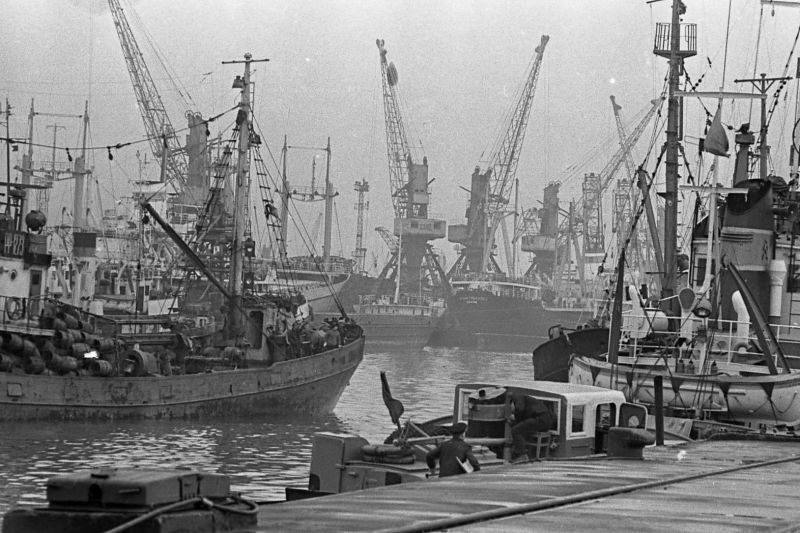 Калининградские фотографии разных лет, 1960-е, г. Калининград
