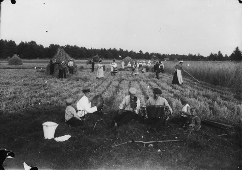 Уборка хлеба в предместьях Аренсбурга, 1900-е, Эстляндская губ.. Ныне город Курессааре.