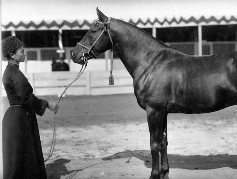 Конь Хассан, 1900-е