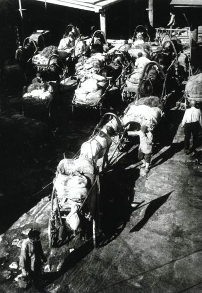 Единоличники сдают хлеб государству, 1928 год, Вятская губ., Яранский у.