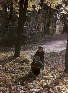 «Золотая осень». Осень в Останкино, 1968 - 1973, г. Москва. Выставка «Золотой октябрь» с этой фотографией.