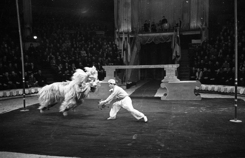 Фото "Китайский цирк. Пантомима «Танец львов»", 1957 год, г. Москва ...