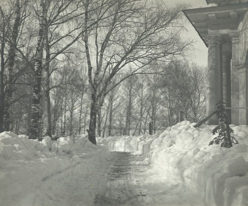 Аллея в парке зимой, 1900-е, Вятская губ., г. Вятка