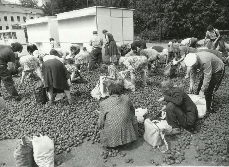 Бесплатная гнилая картошка, 28 марта 1993, г. Москва. Видео «Царицы полей» с этой фотографией.